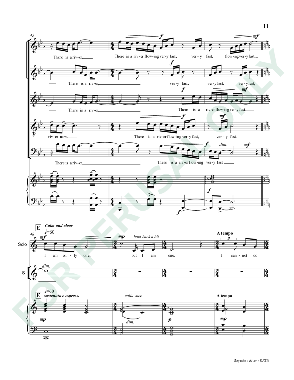 Page 11 of JS-059MX score